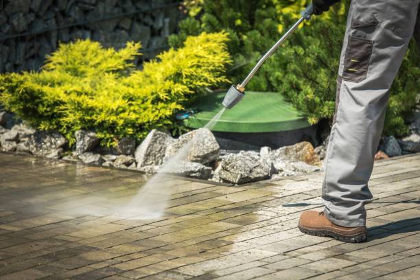 Best Soft Washing for Delicate Surfaces in Cramerton, NC